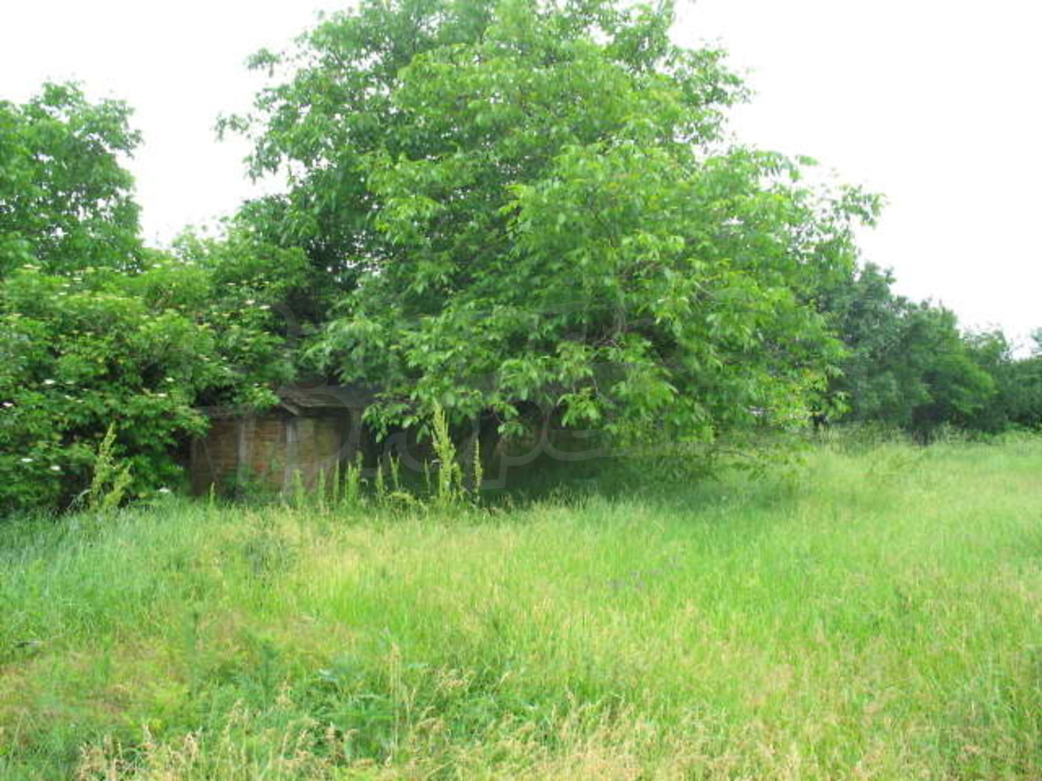 Gallery Picture 15