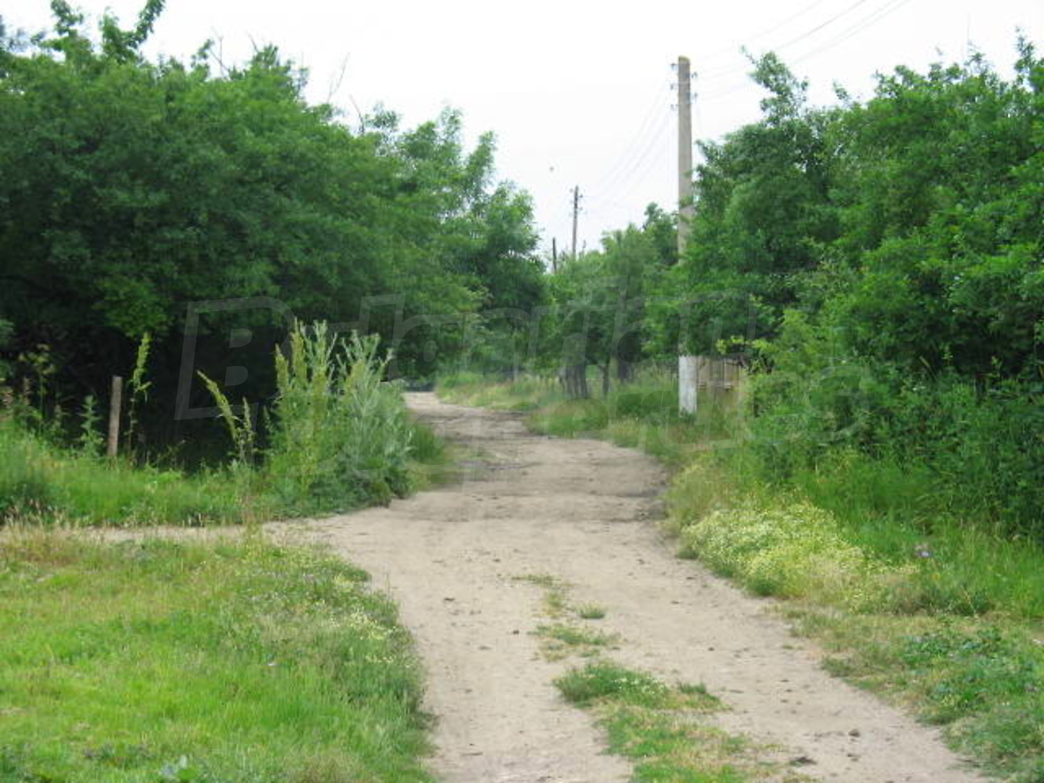 Gallery Picture 16