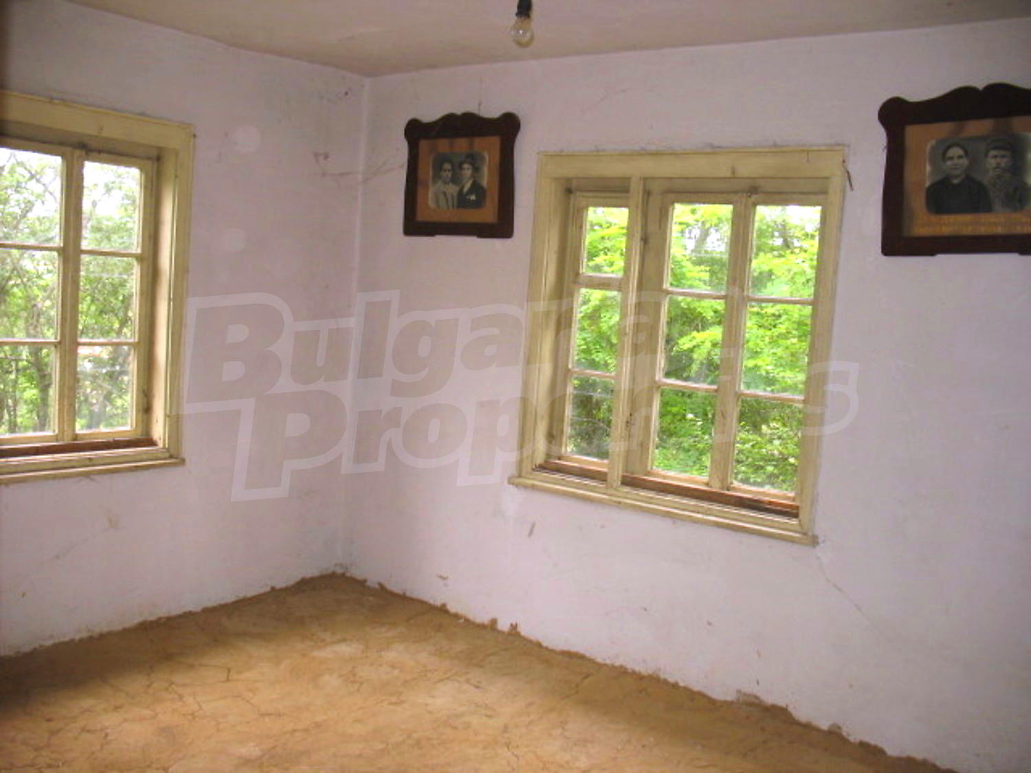 Gallery Picture 5