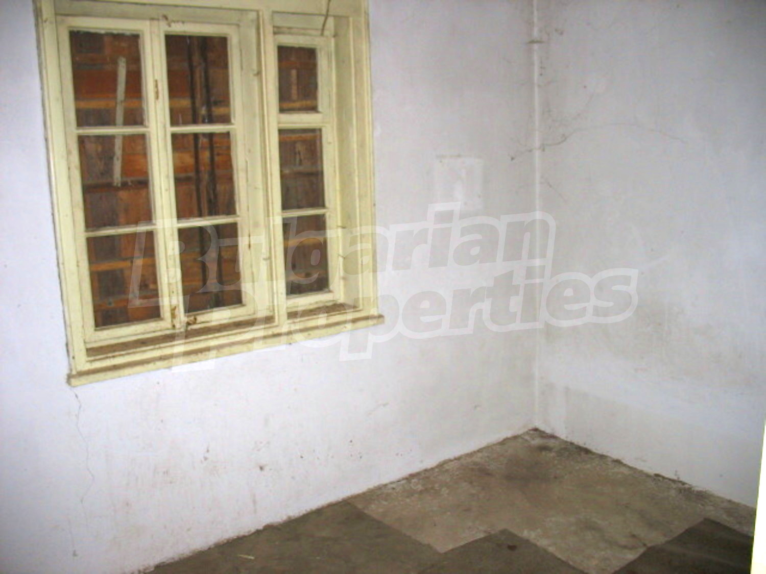 Gallery Picture 7