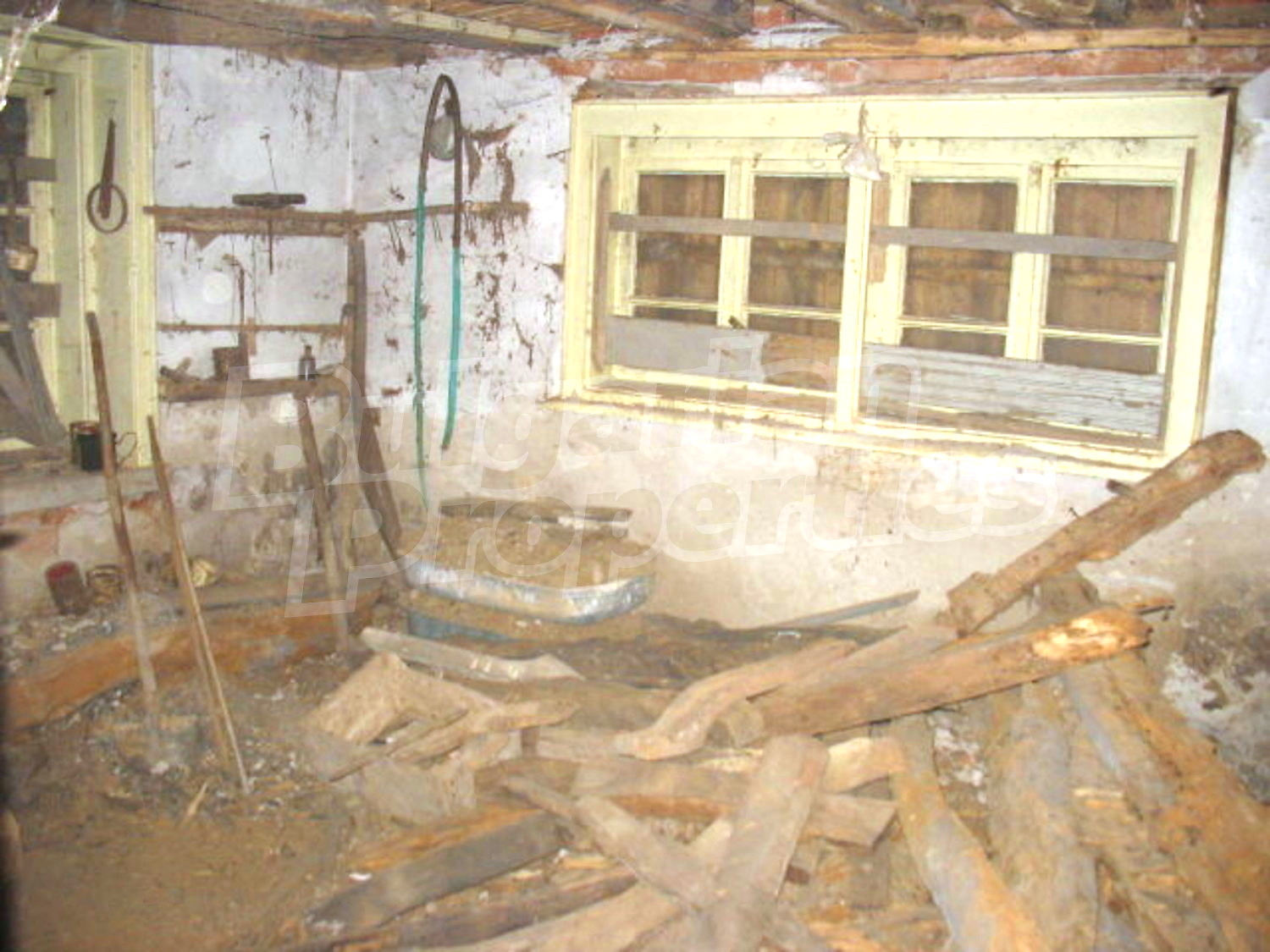 Gallery Picture 9