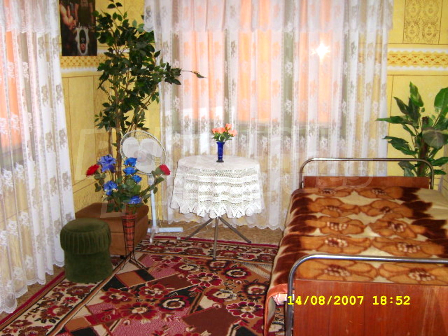 Gallery Picture 15