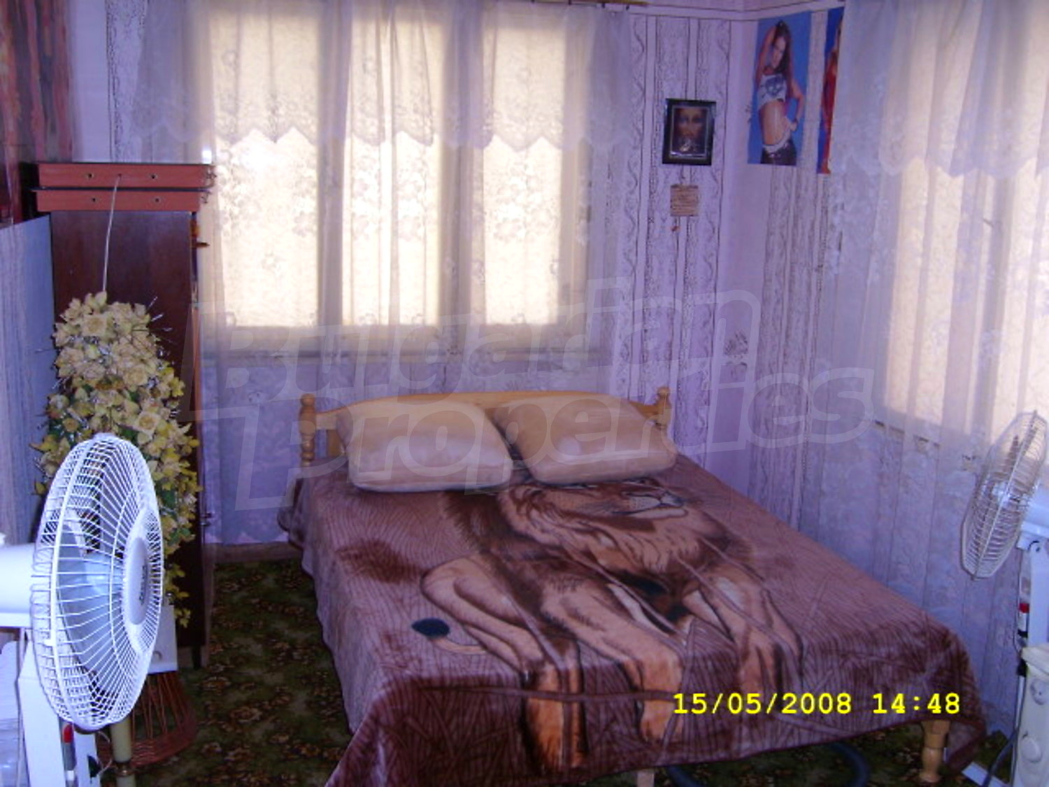Gallery Picture 20