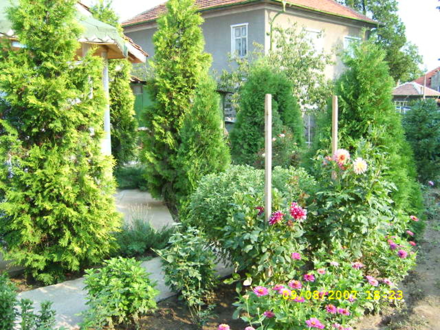 Gallery Picture 29