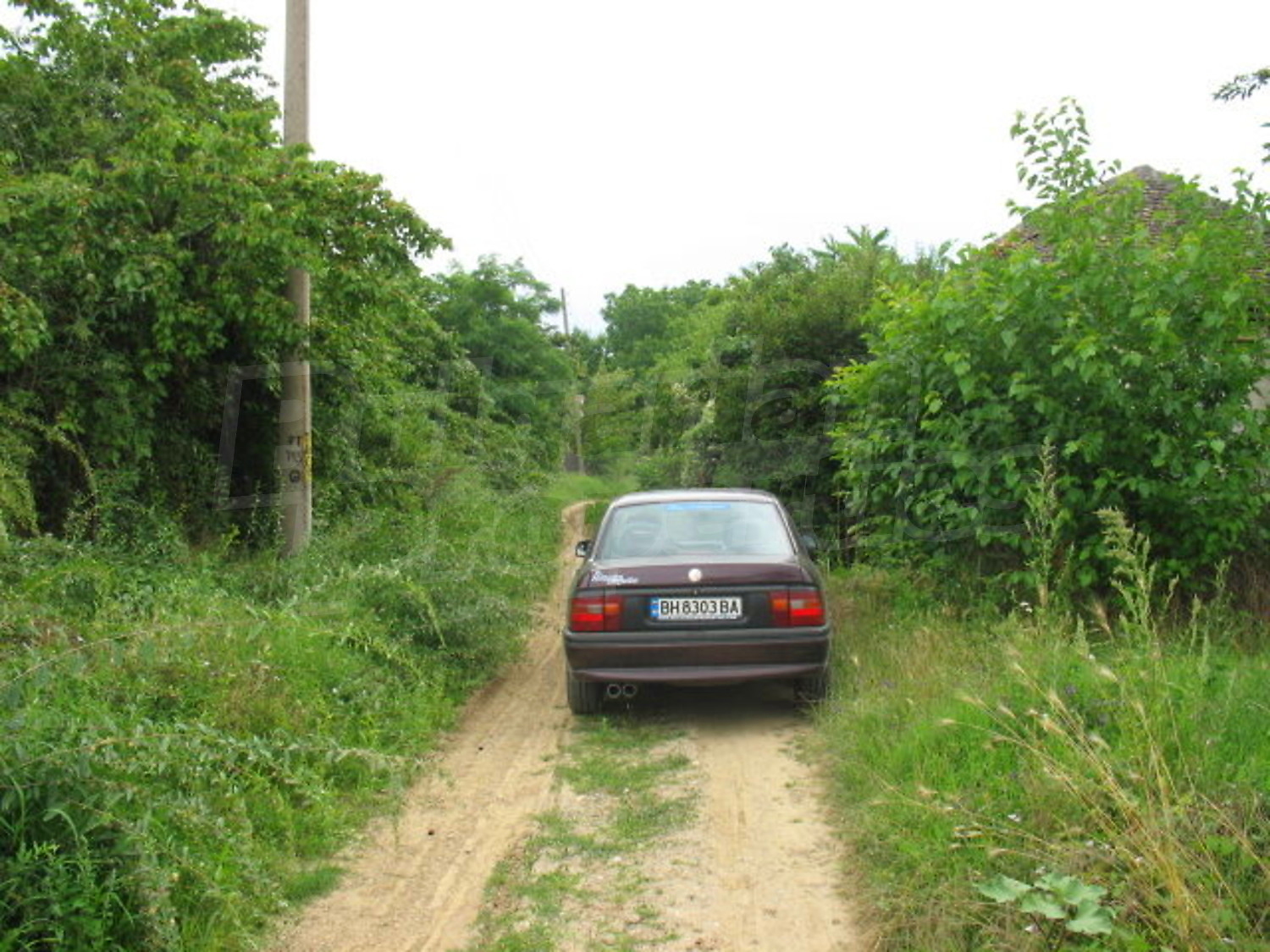 Gallery Picture 10