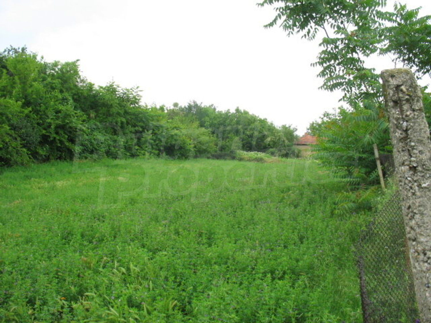 Gallery Picture 6