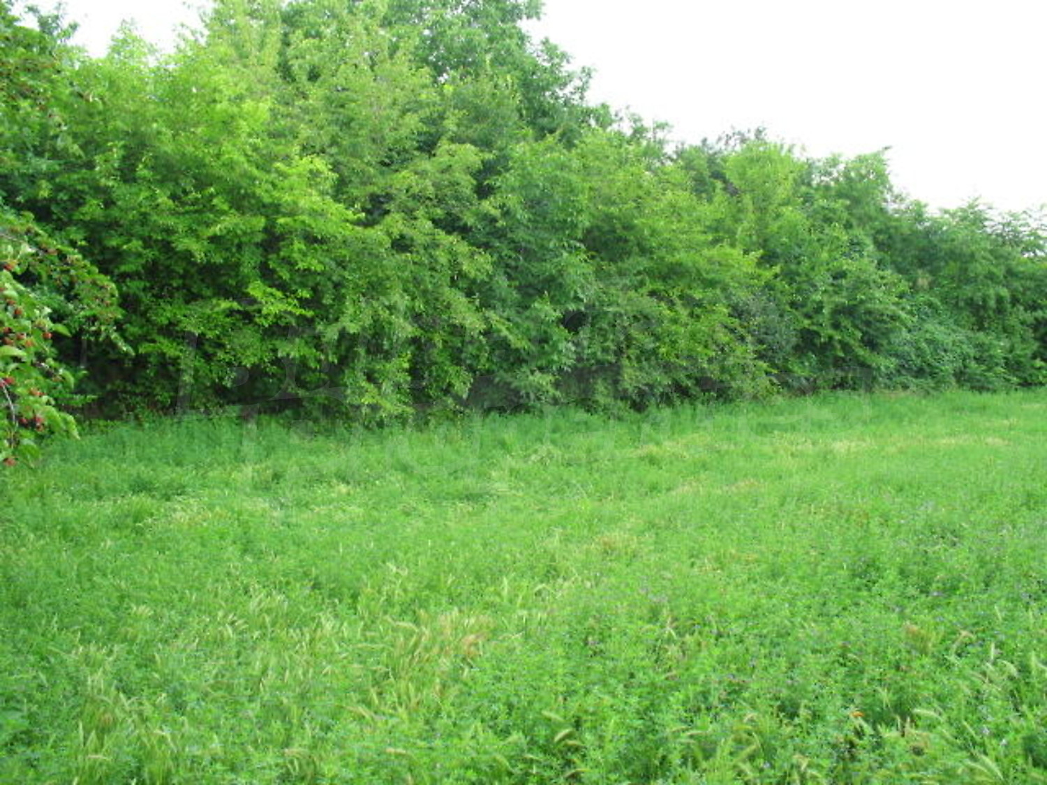 Gallery Picture 7