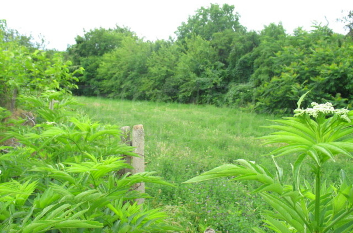 Gallery Picture 8