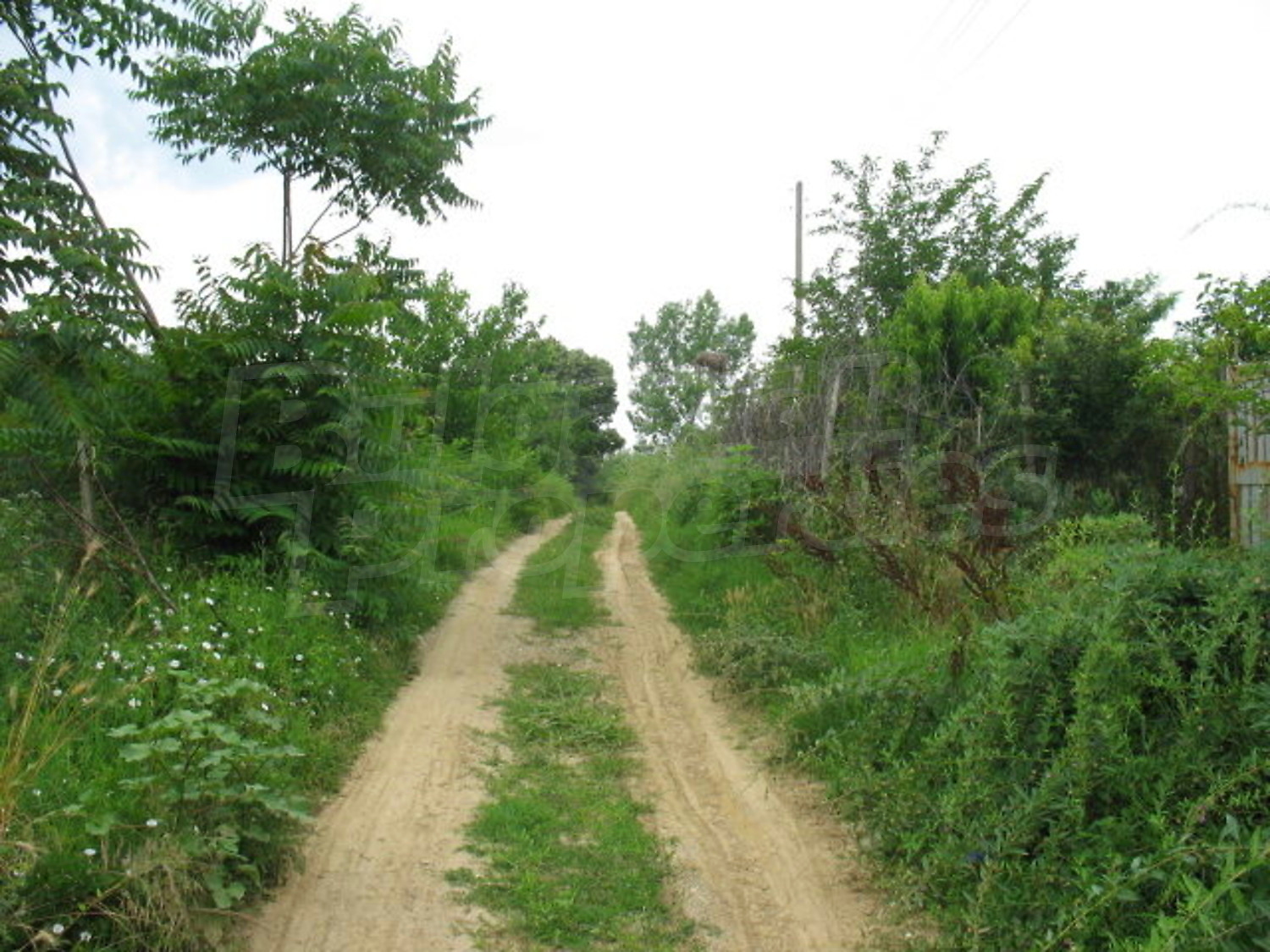 Gallery Picture 9