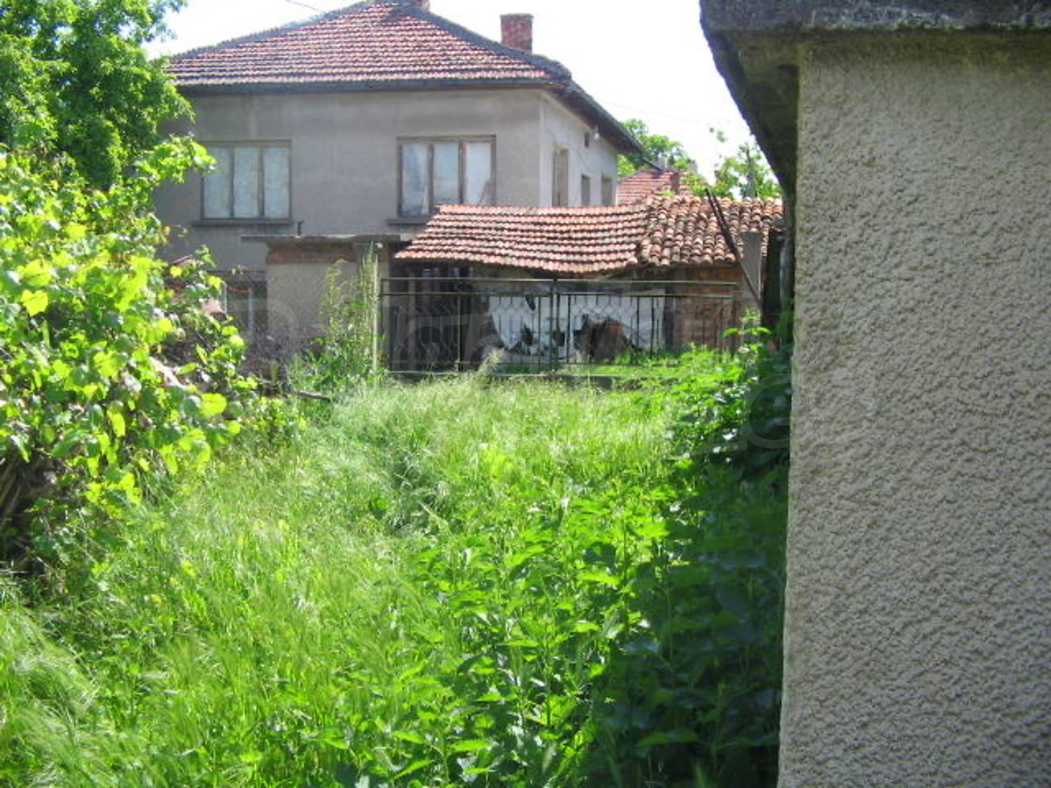 Gallery Picture 10