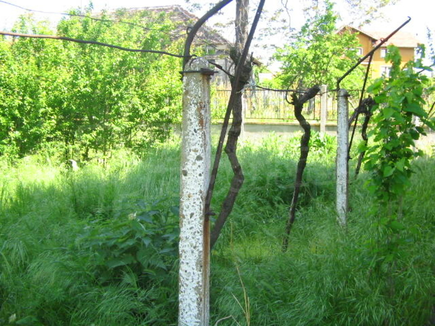 Gallery Picture 19