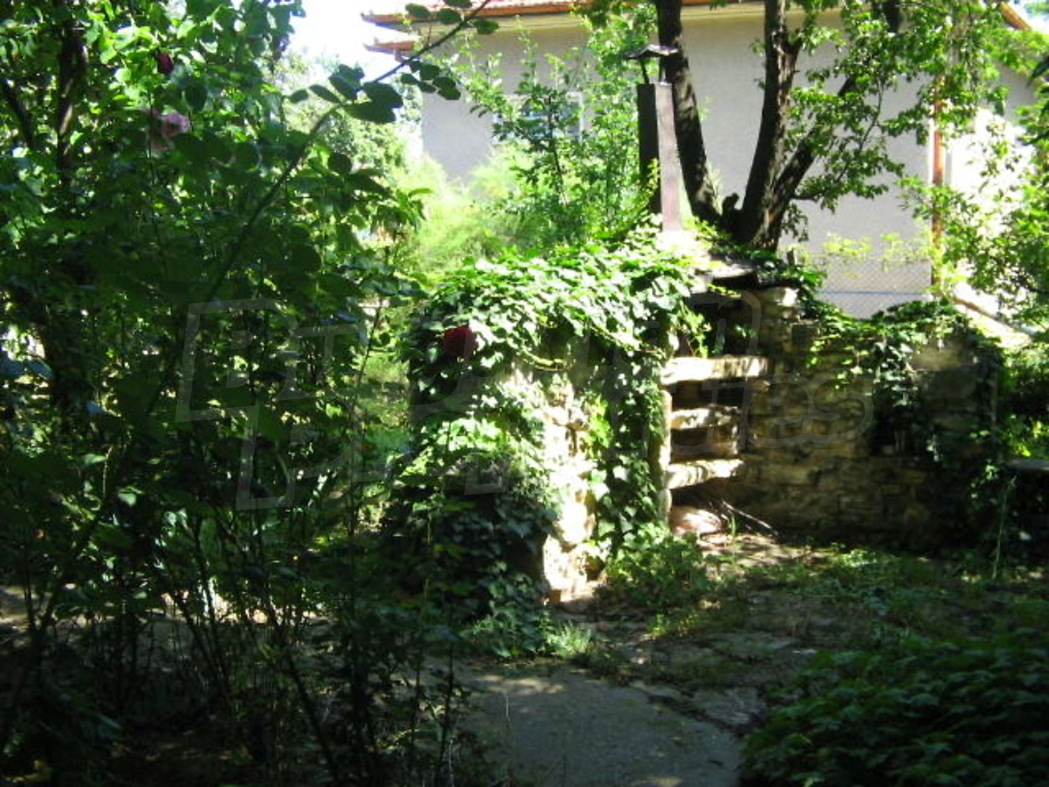 Gallery Picture 13