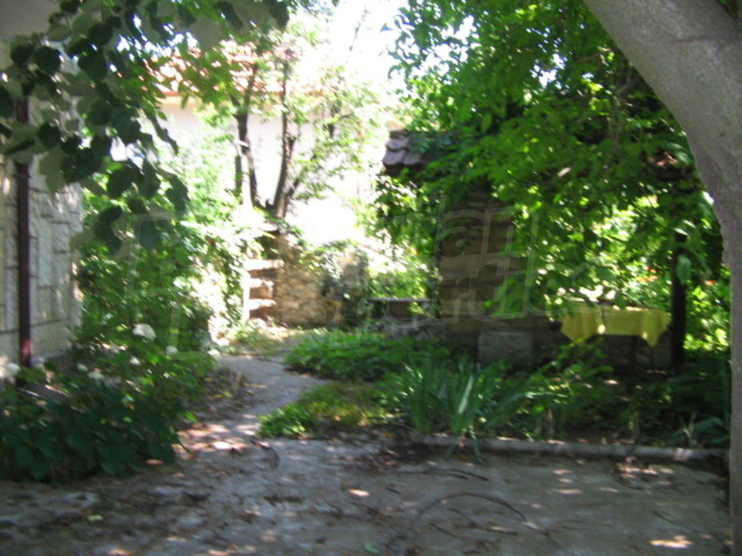Gallery Picture 14