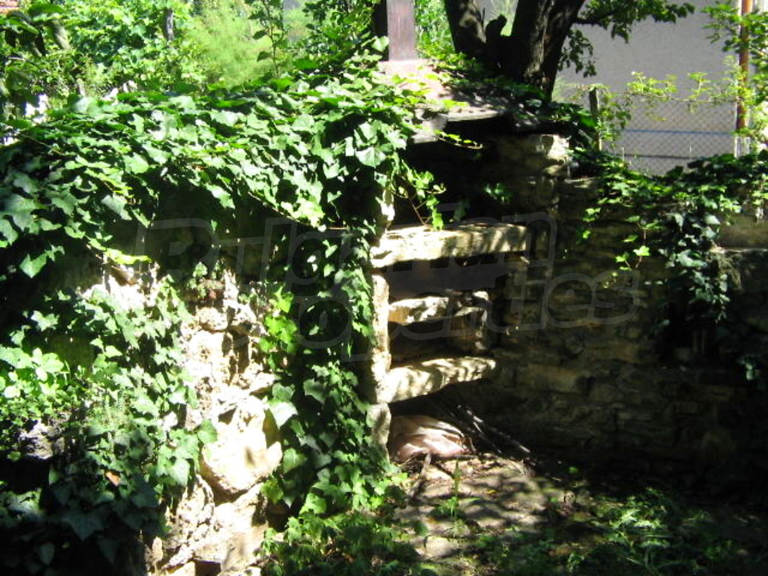 Gallery Picture 15