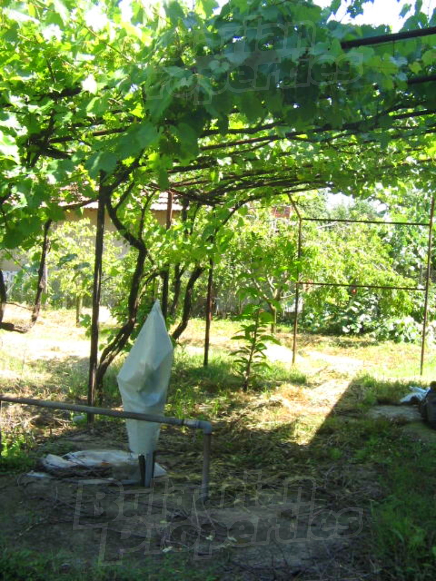 Gallery Picture 17