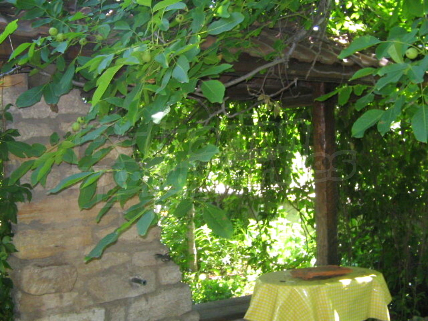 Gallery Picture 18