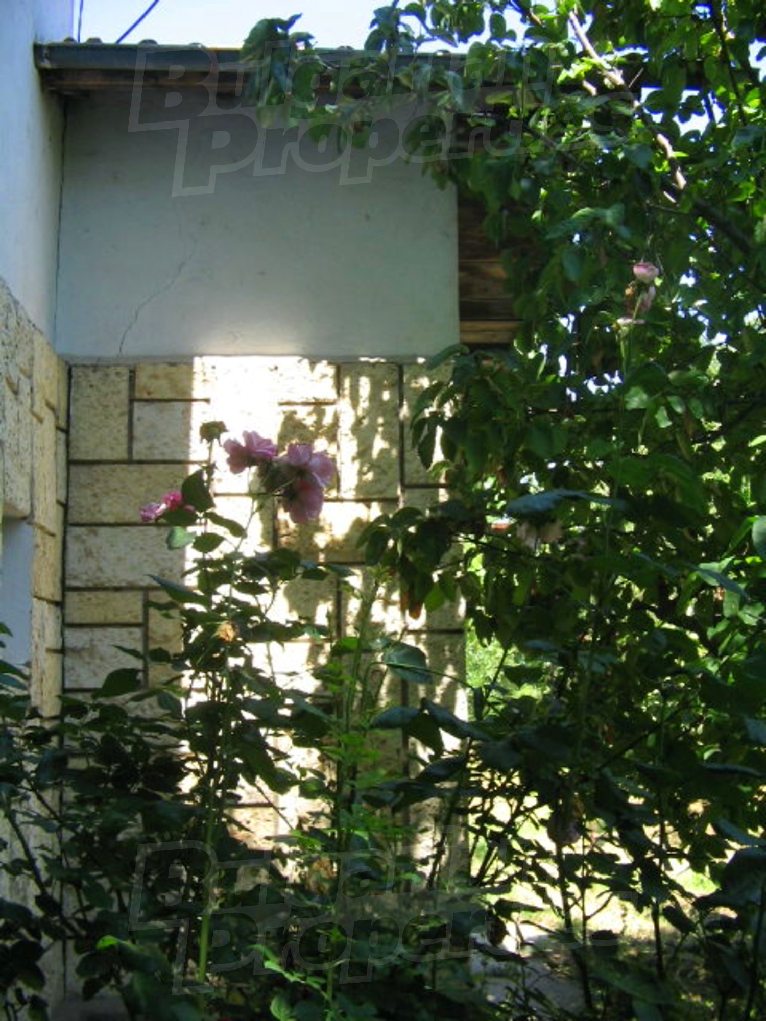 Gallery Picture 19