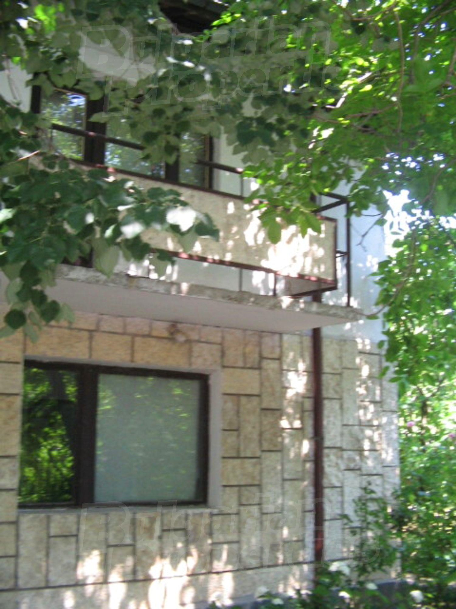 Gallery Picture 5