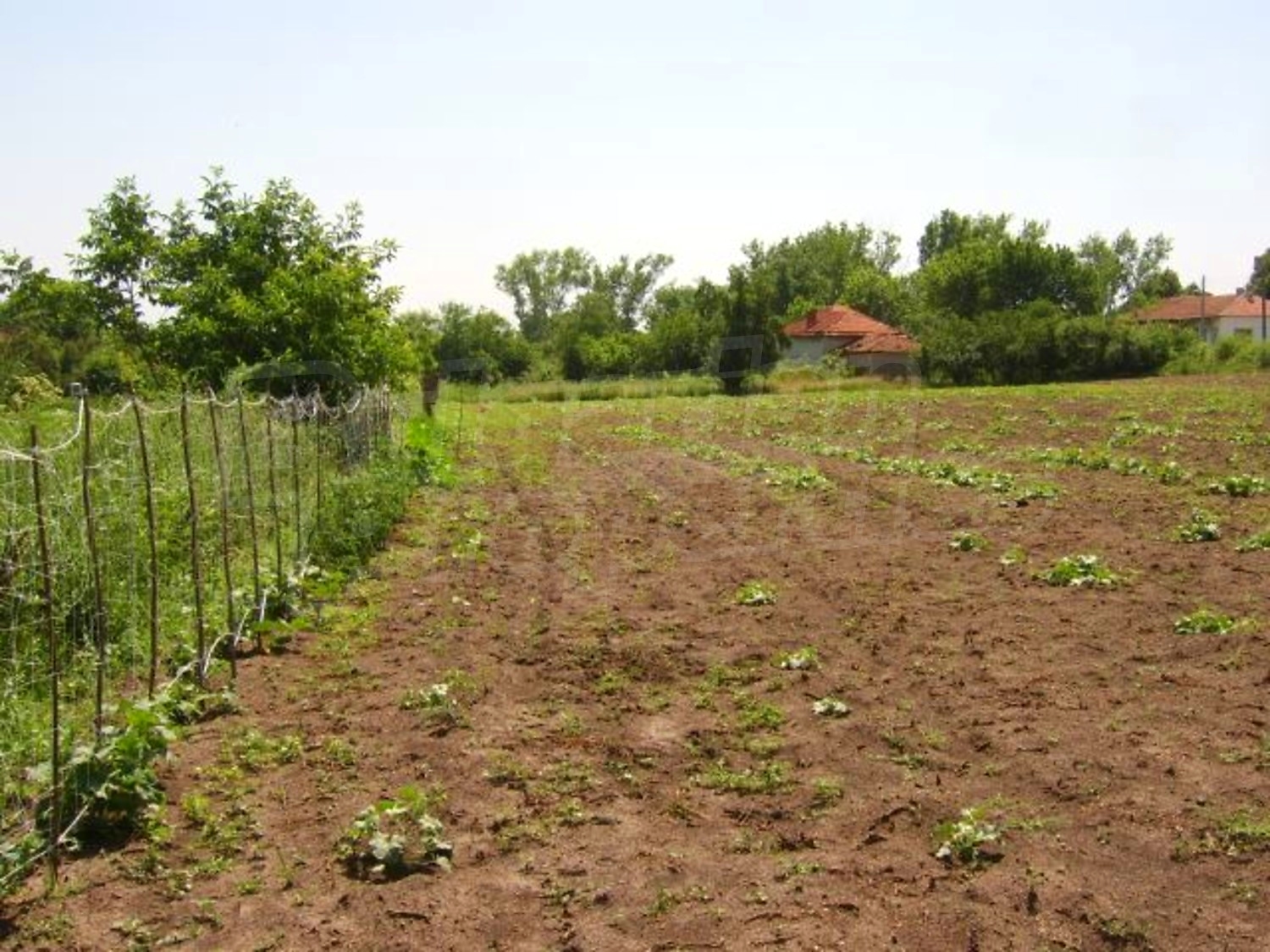 Gallery Picture 5