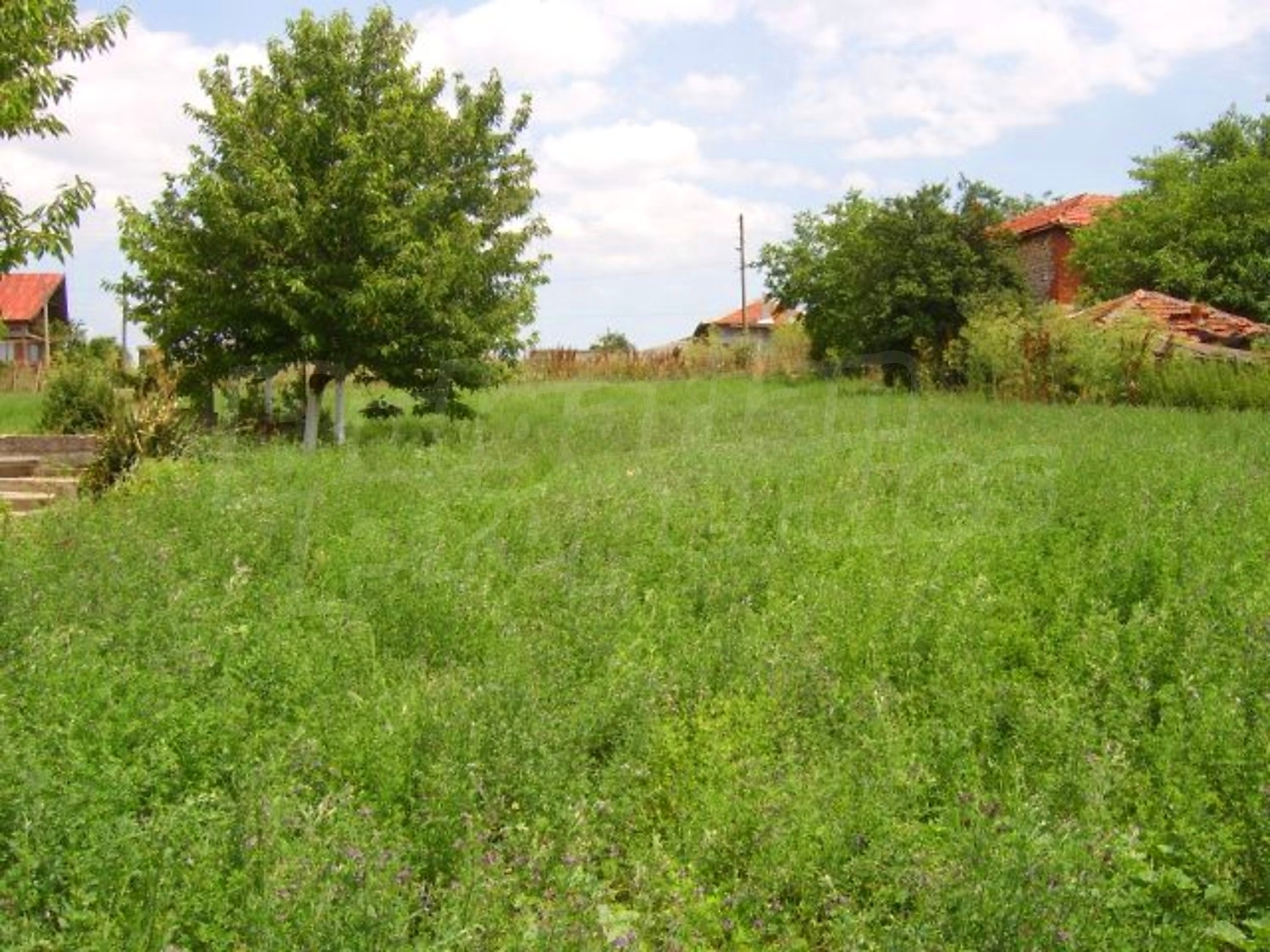 Gallery Picture 38