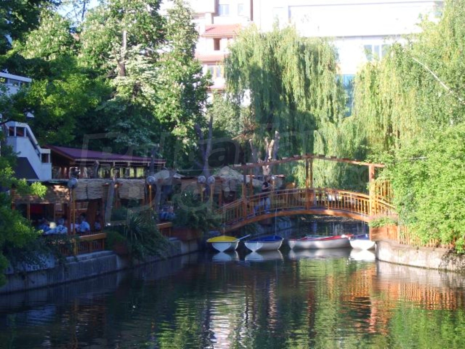Gallery Picture 10