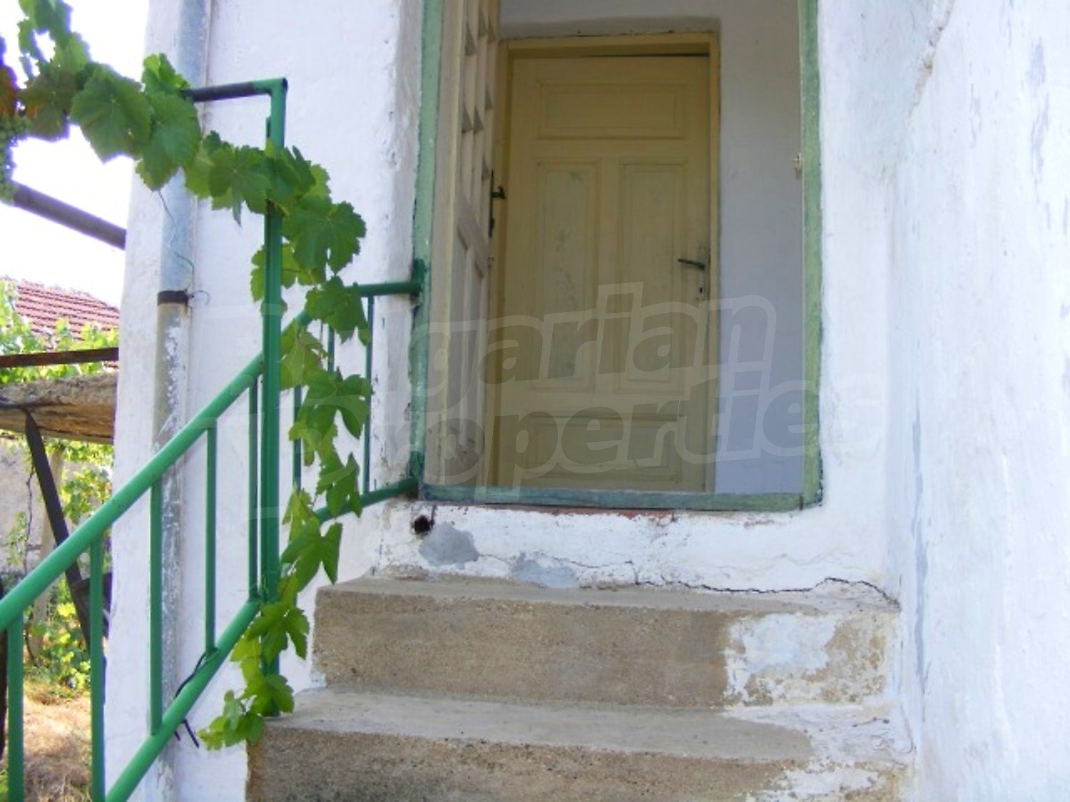Gallery Picture 12