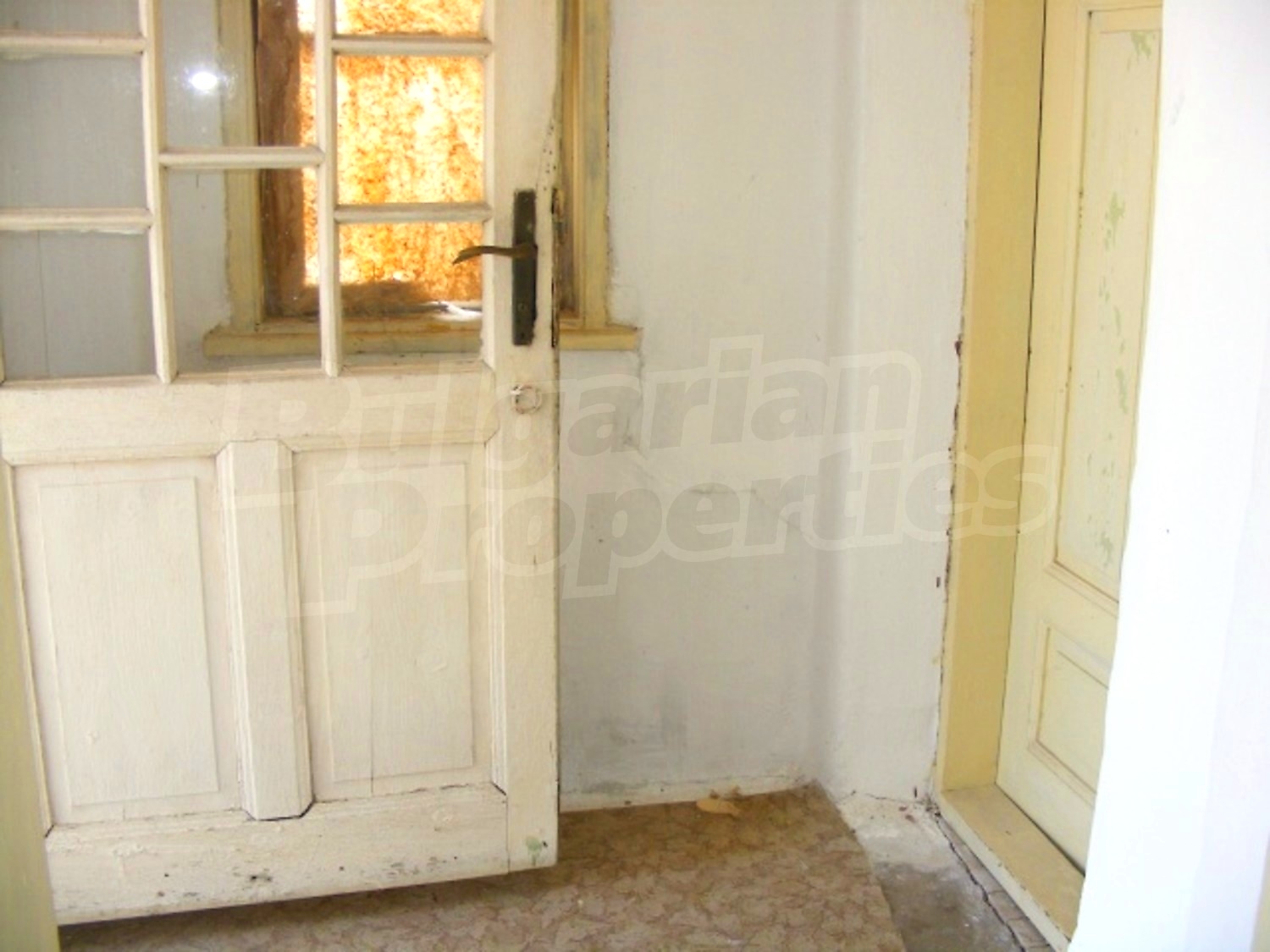 Gallery Picture 13