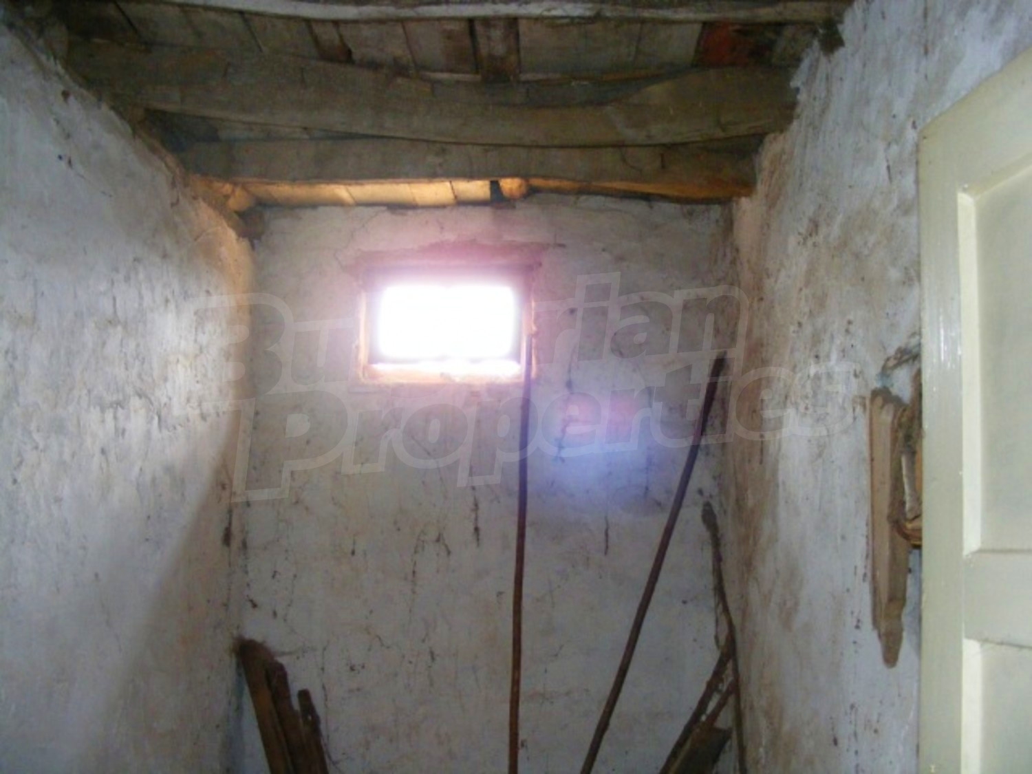 Gallery Picture 21