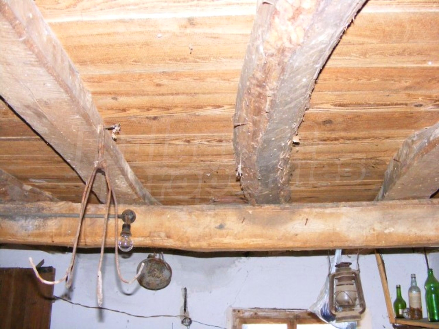 Gallery Picture 24