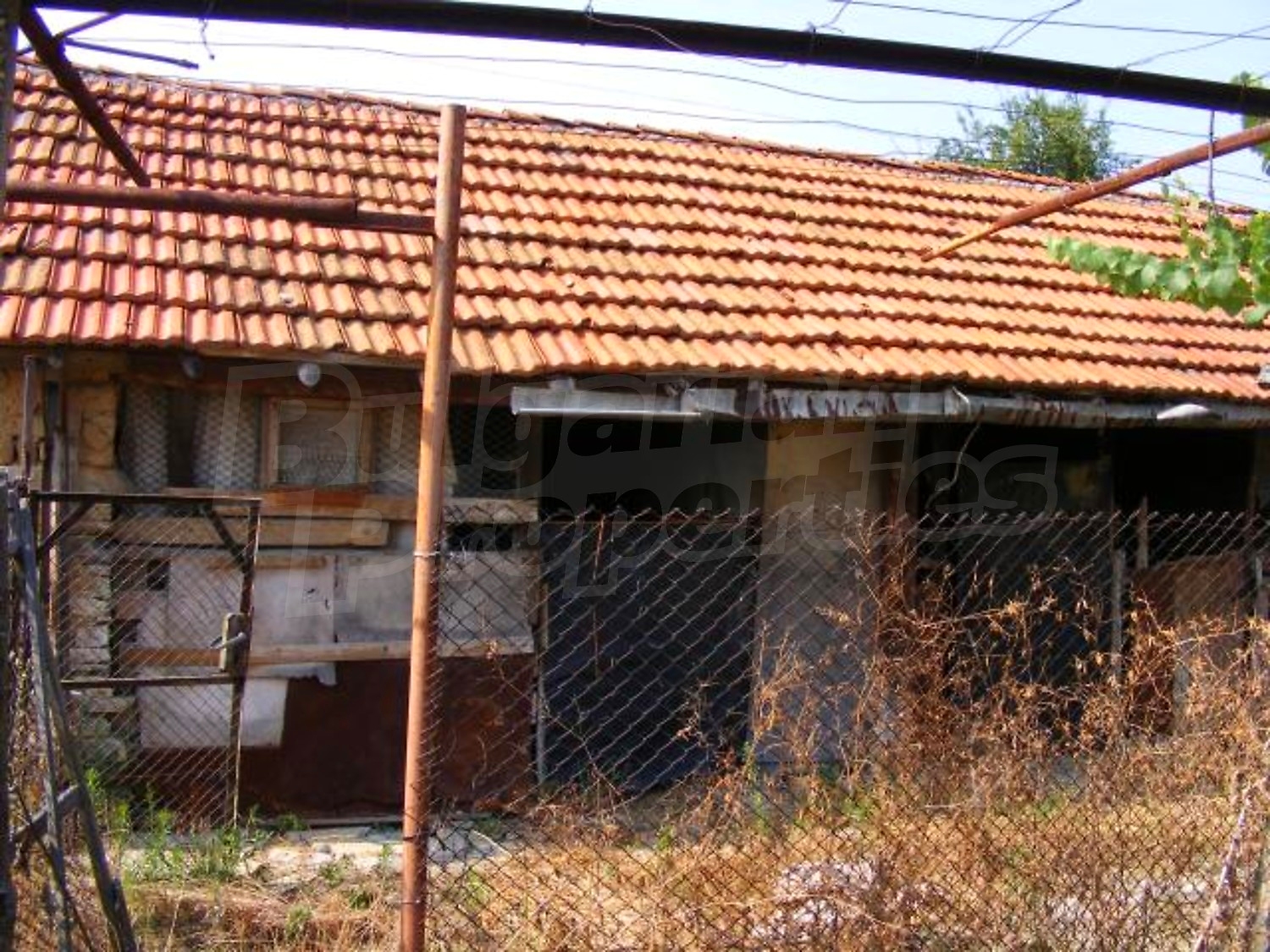 Gallery Picture 25