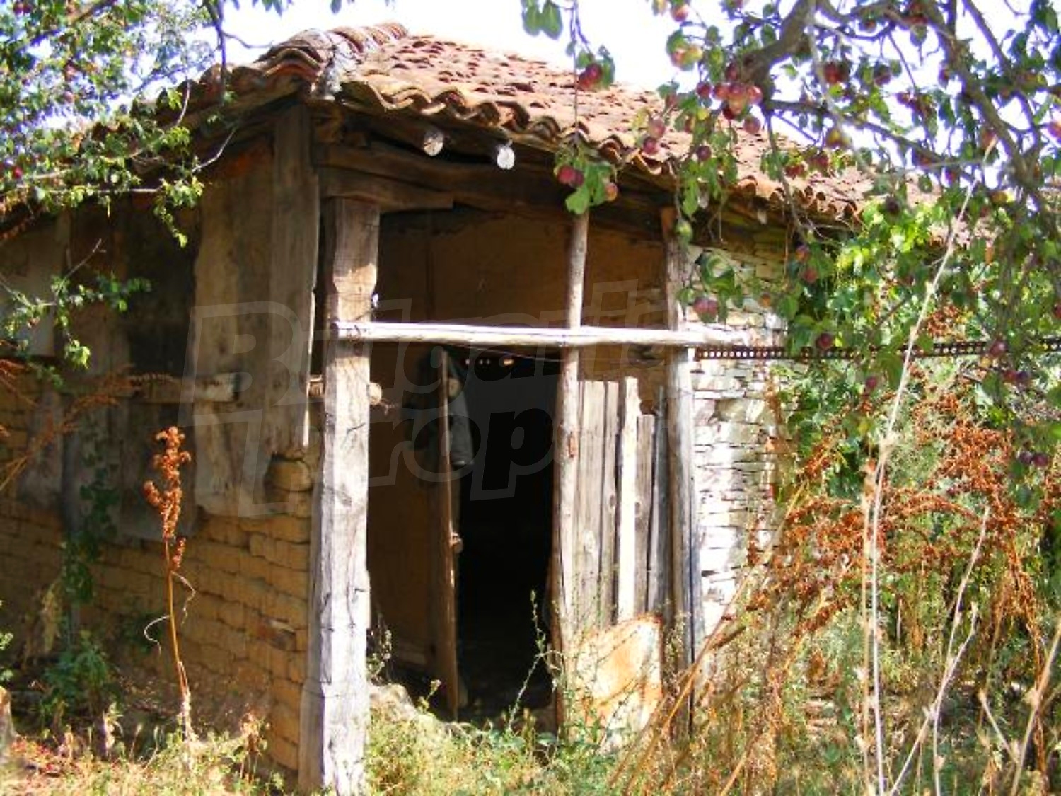 Gallery Picture 27