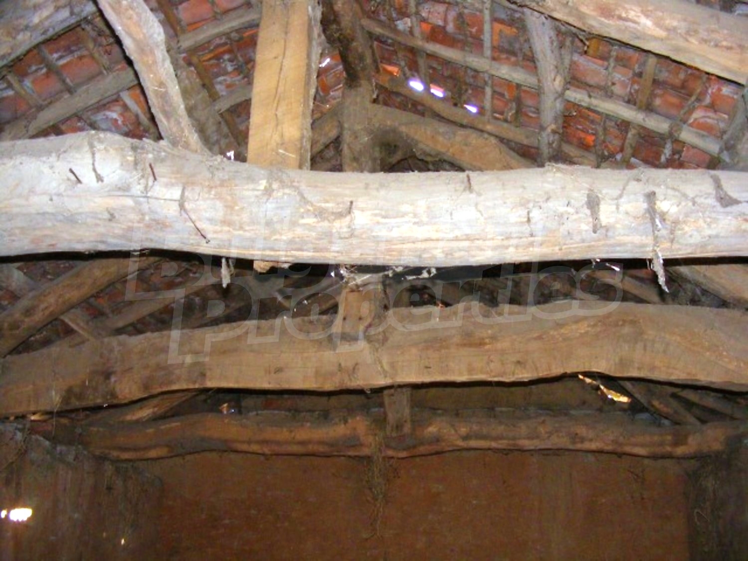 Gallery Picture 29