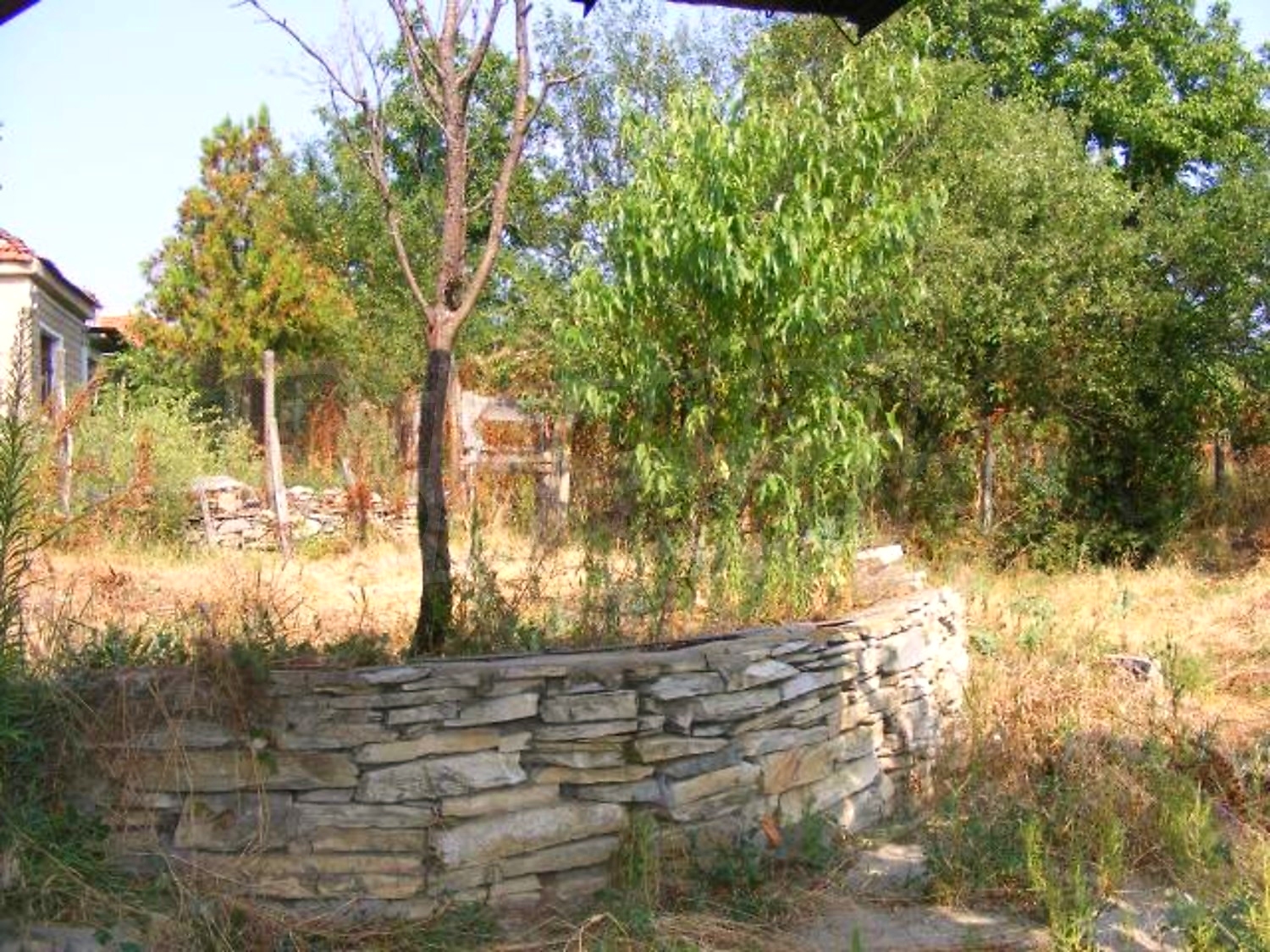 Gallery Picture 33