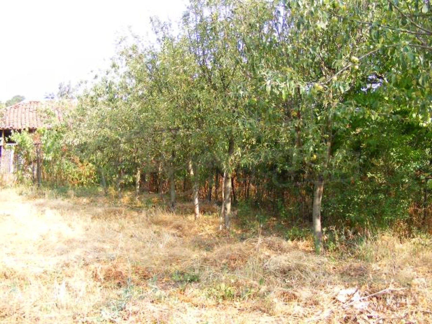 Gallery Picture 34
