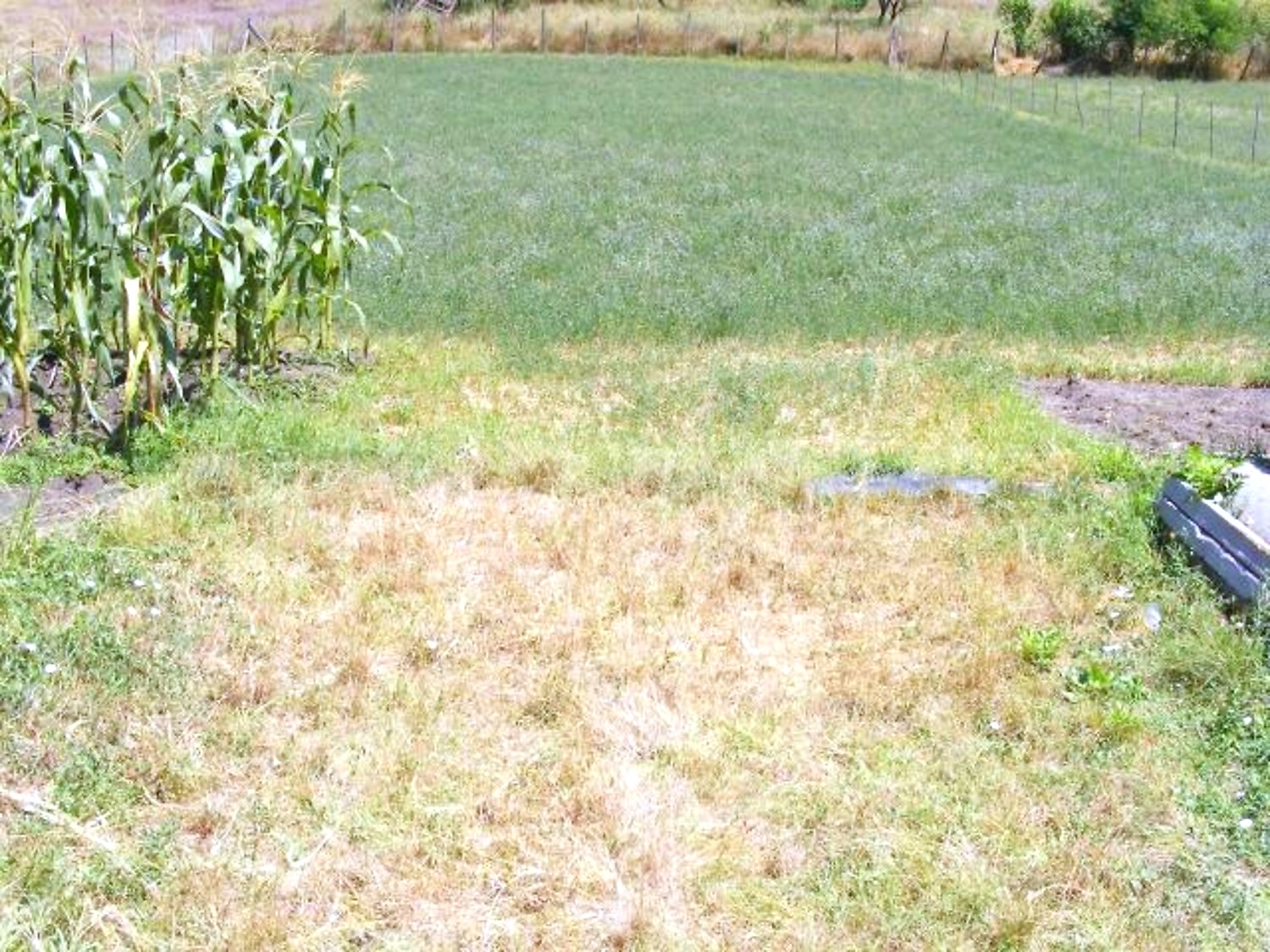 Gallery Picture 7