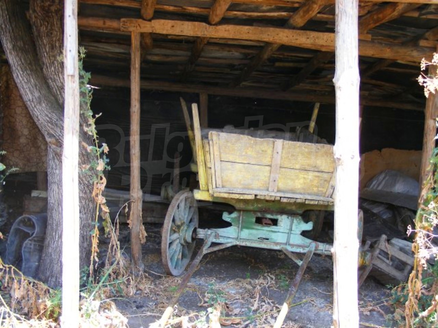Gallery Picture 18