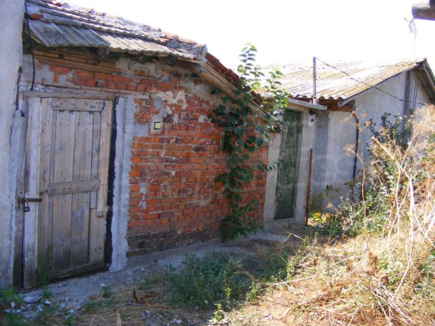 Gallery Picture 20