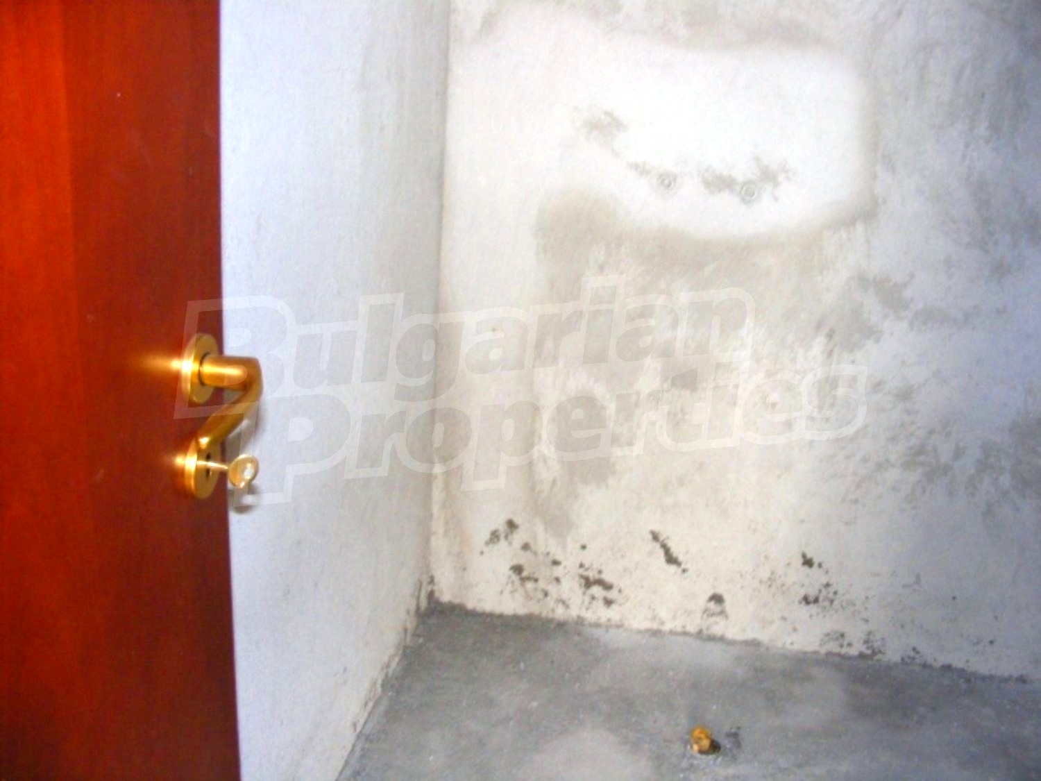 Gallery Picture 25