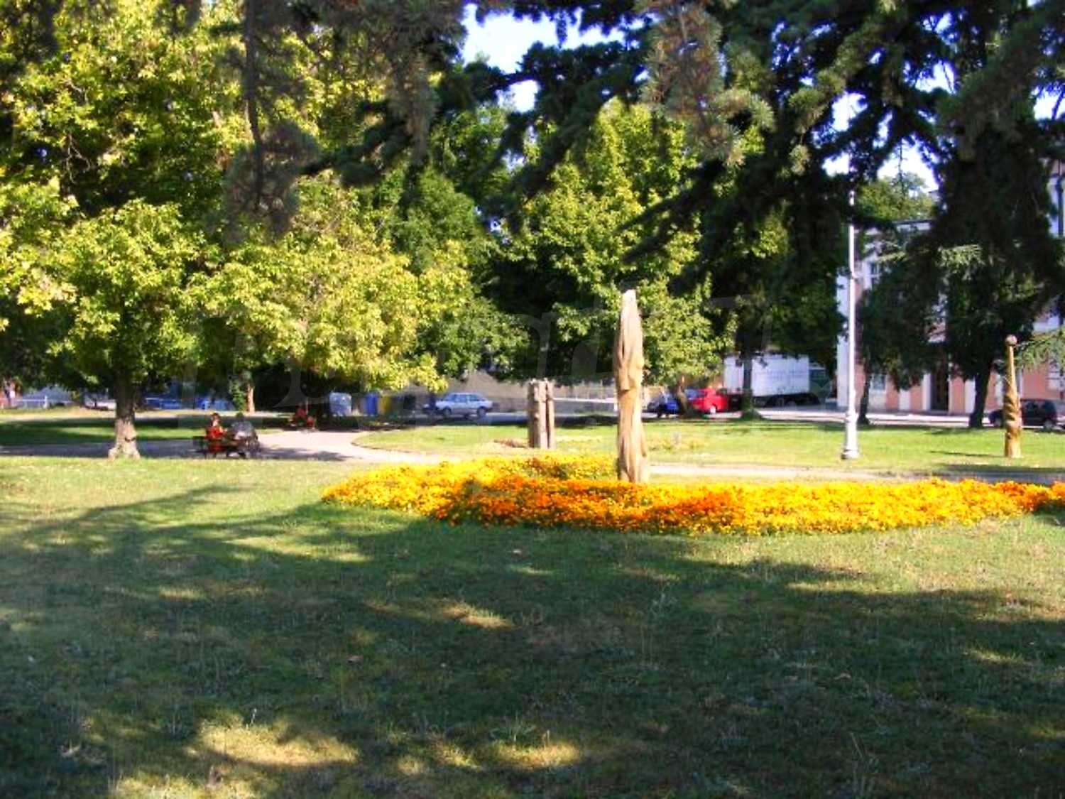 Gallery Picture 37