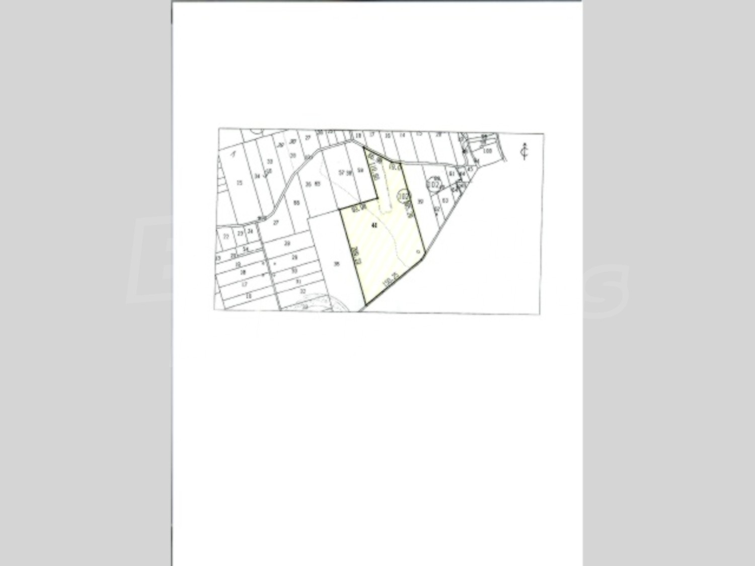 Gallery Picture 13
