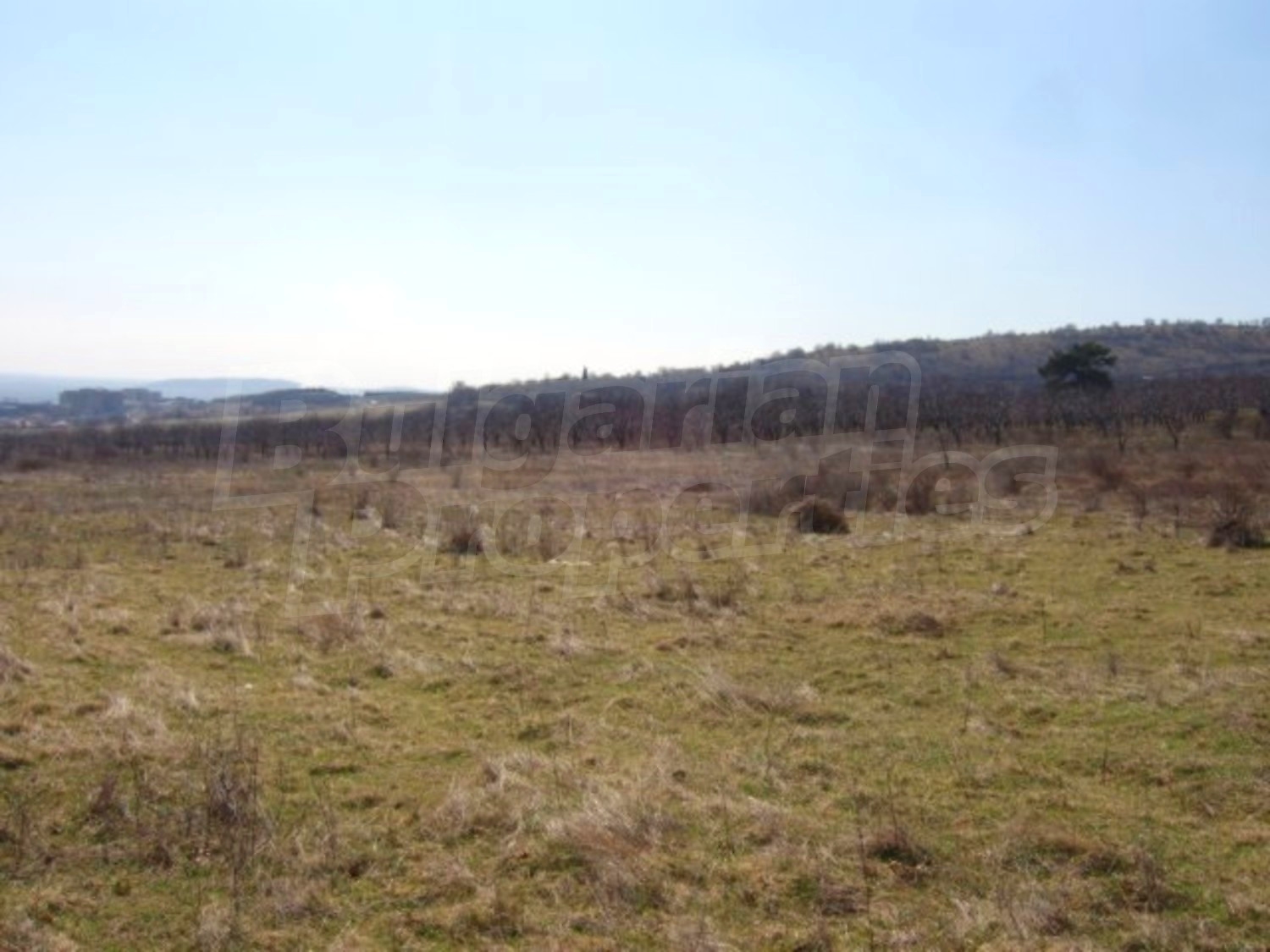 Gallery Picture 6