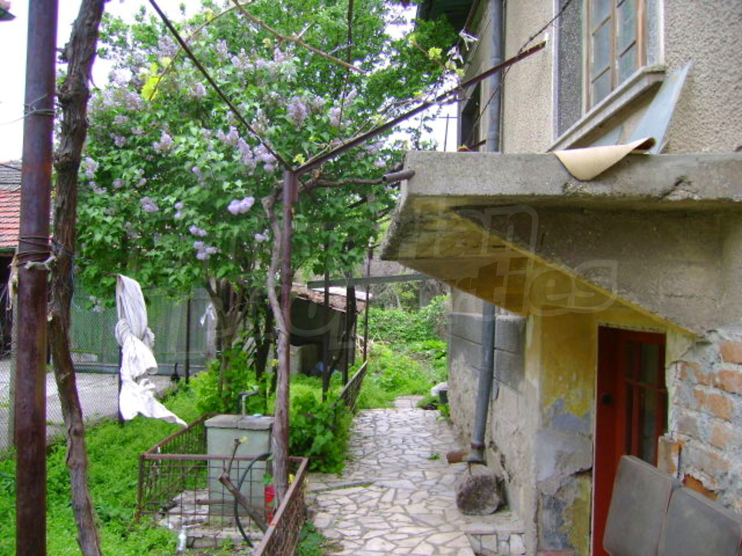 Gallery Picture 12