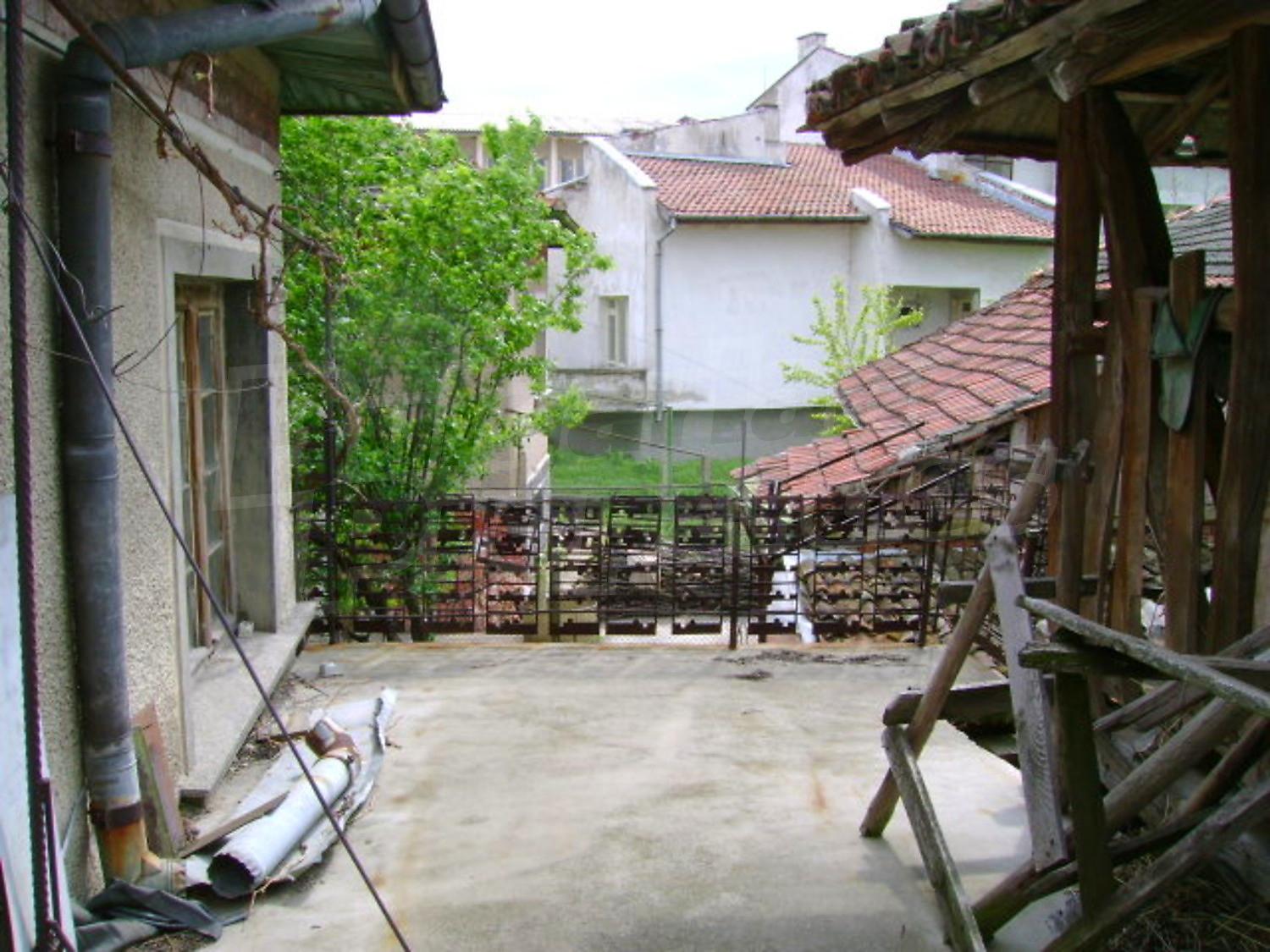 Gallery Picture 13