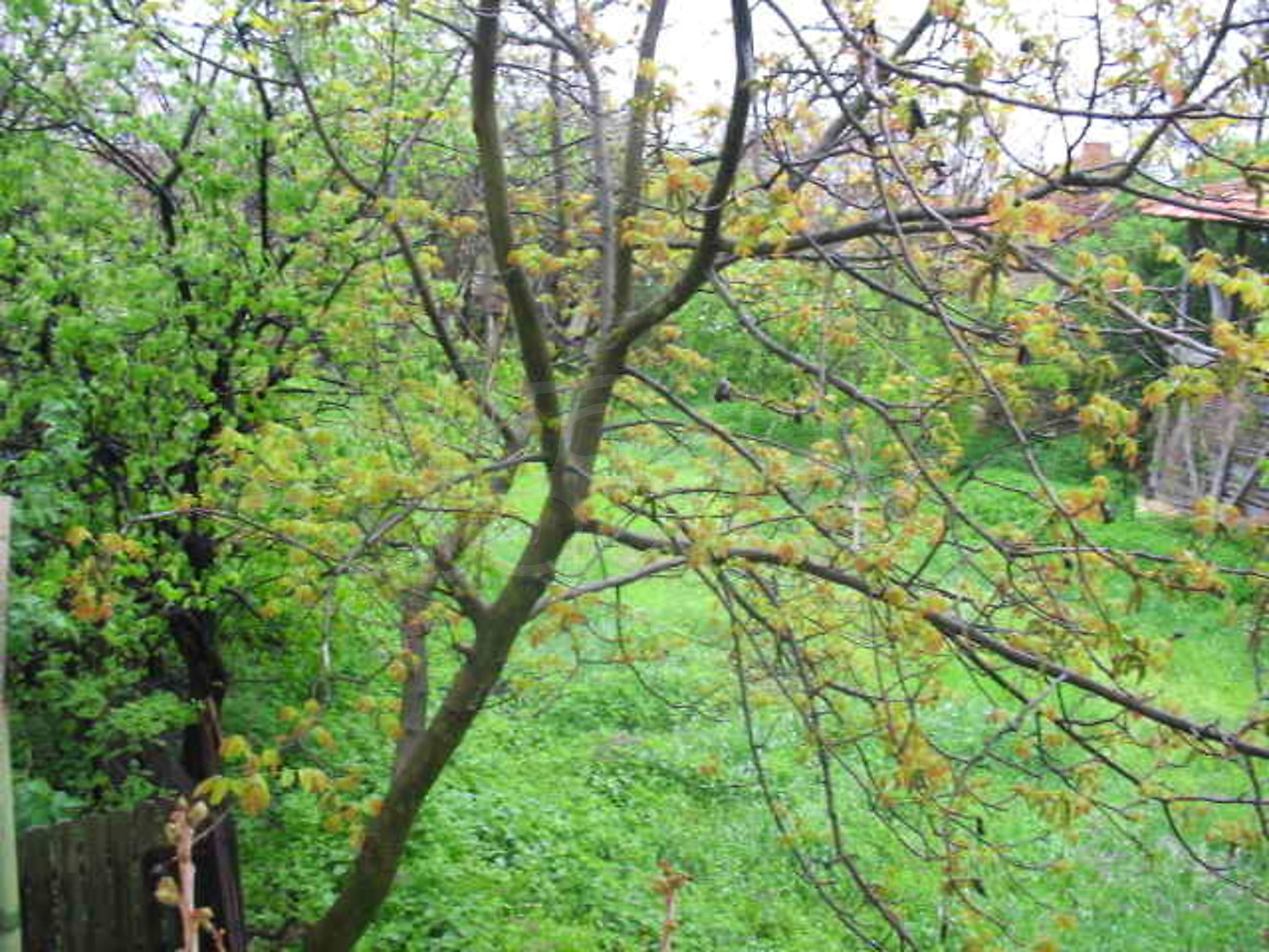 Gallery Picture 13
