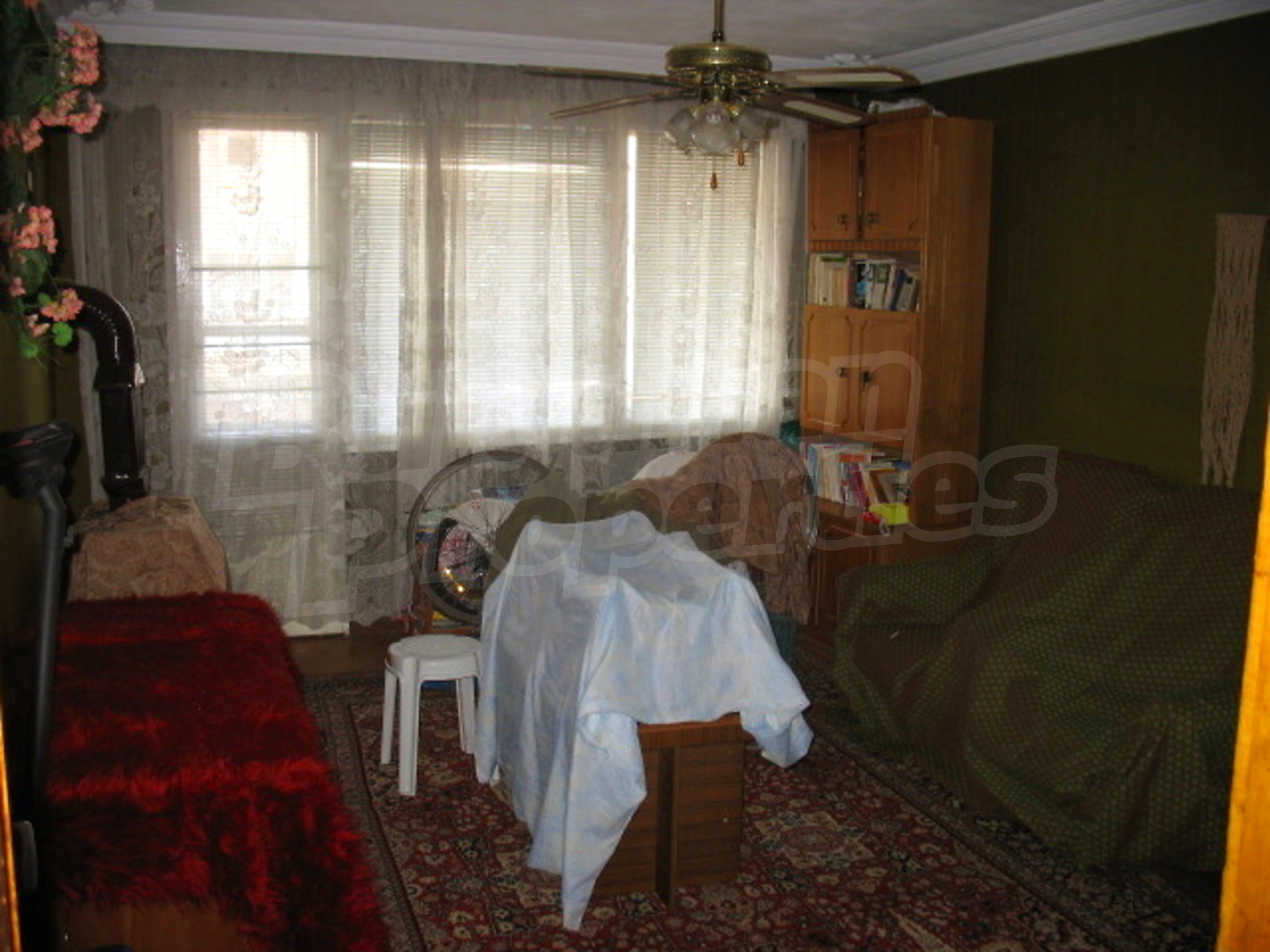 Gallery Picture 7