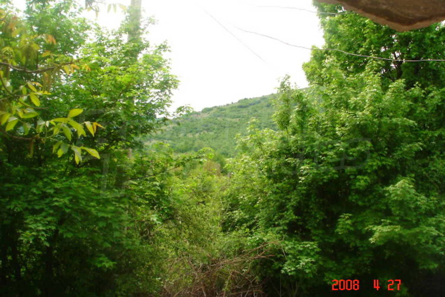 Gallery Picture 15