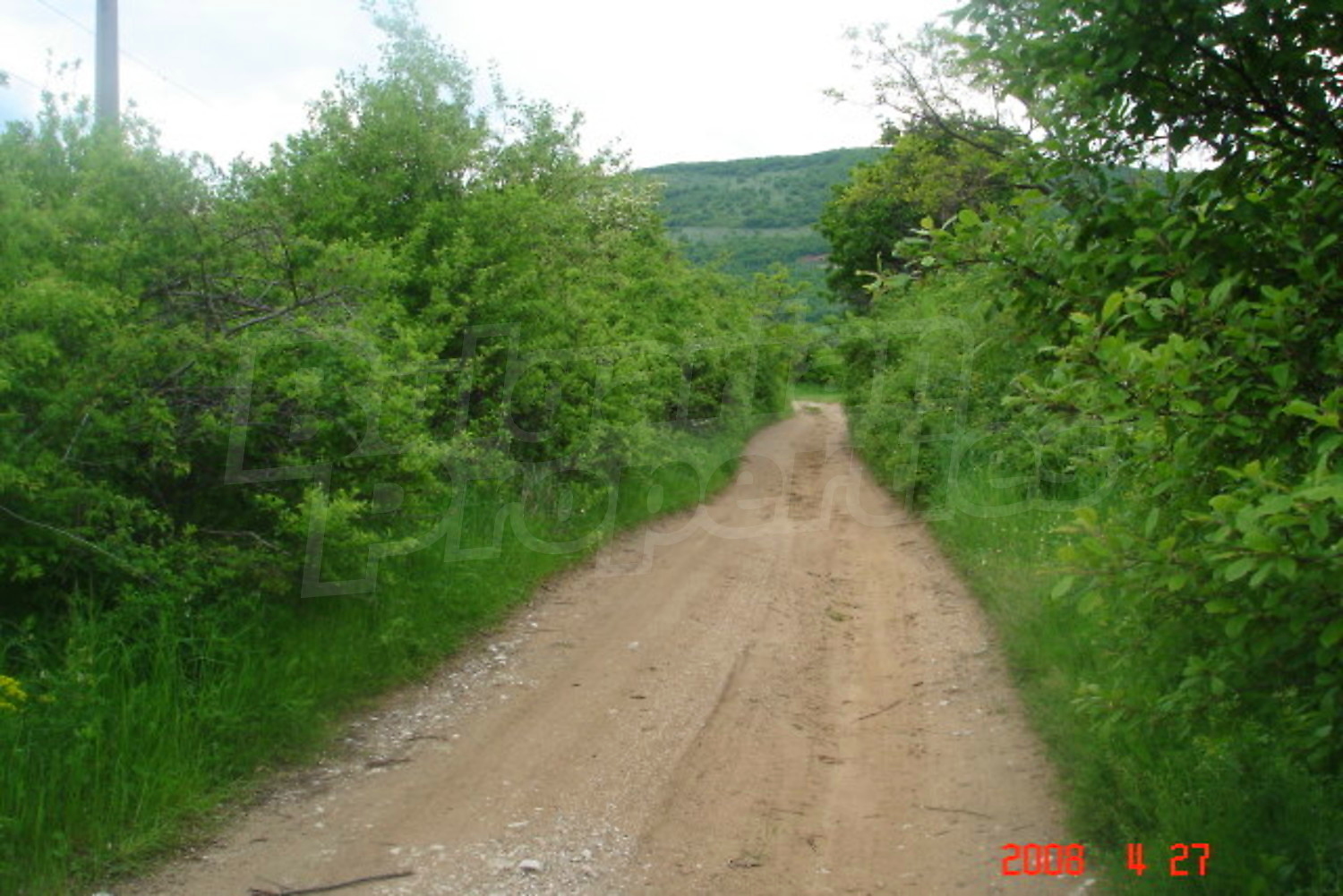 Gallery Picture 18