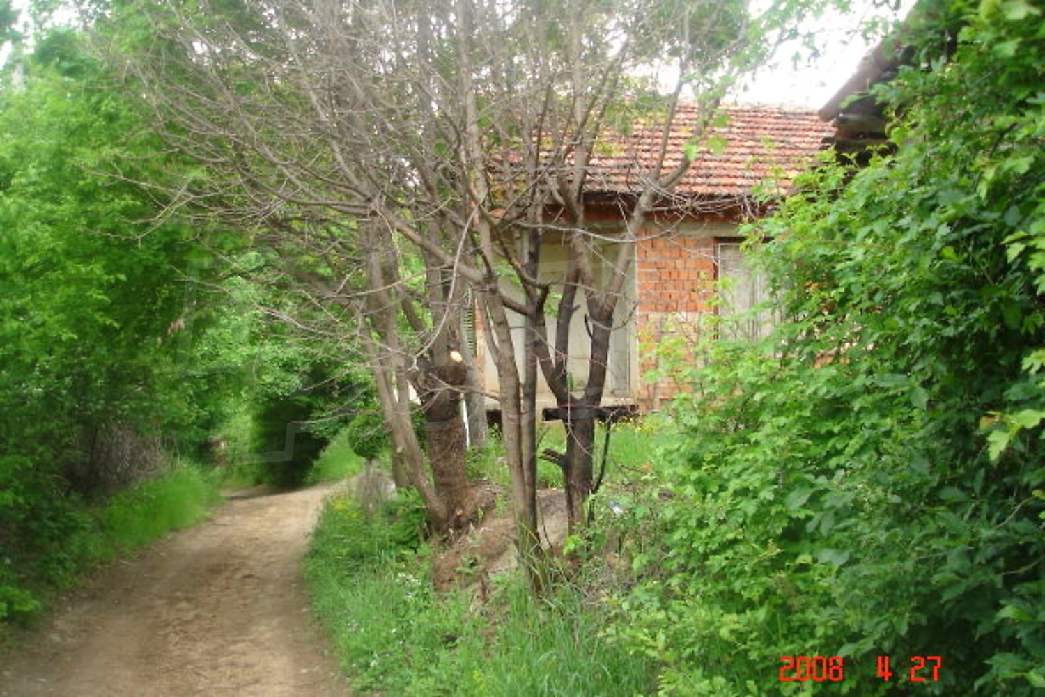 Gallery Picture 19