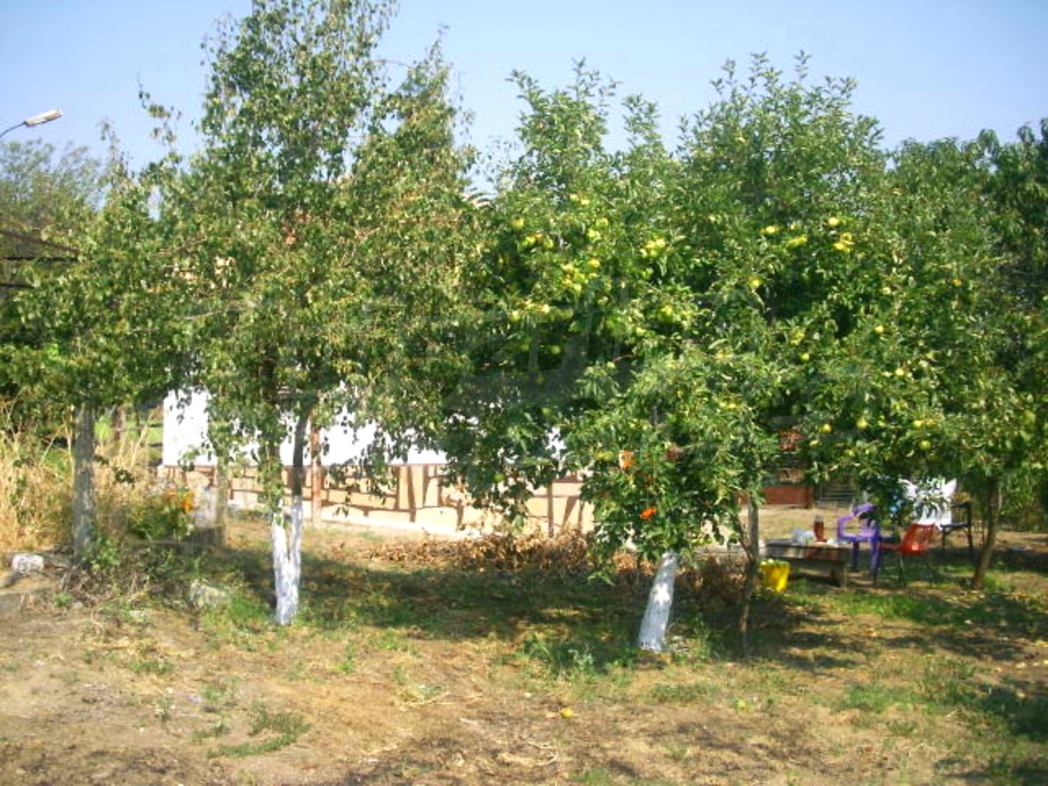 Gallery Picture 15