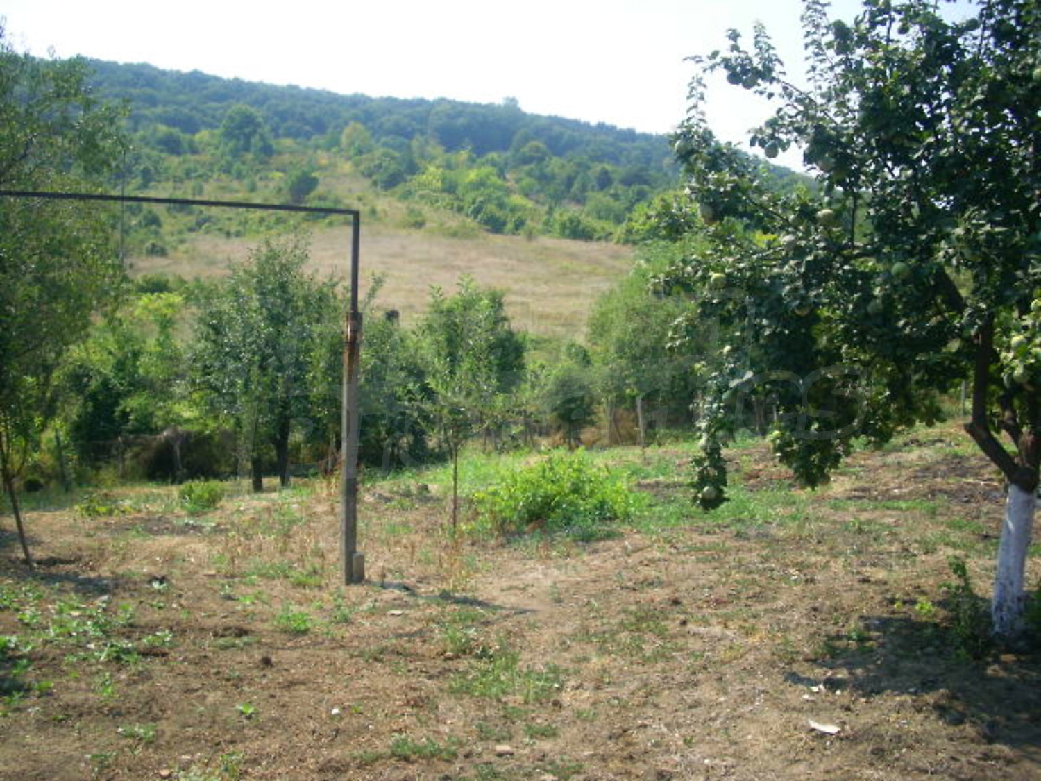 Gallery Picture 16